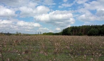 Działka rolna Wyglądały, Wyglądały