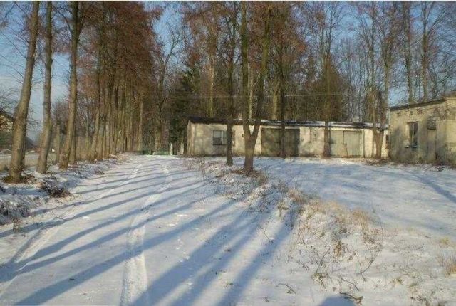 Działka budowlana Kiczki Pierwsze. Zdjęcie 1