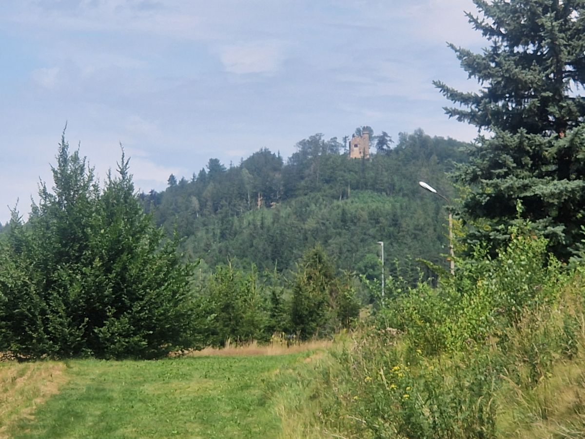 Działka inwestycyjna Sosnówka, ul. Liczyrzepy. Zdjęcie 13