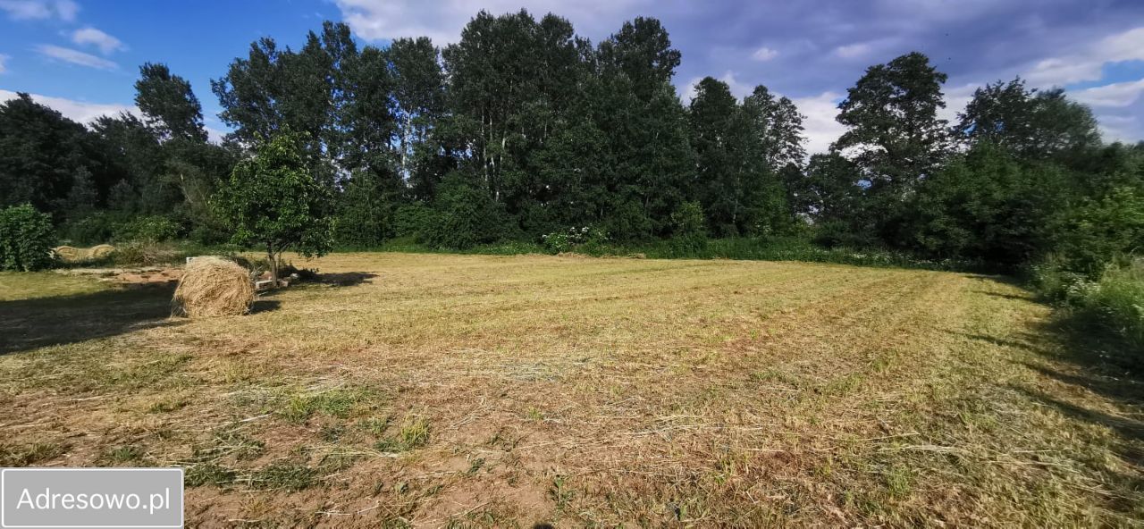 Działka rolno-budowlana Jarentowskie Pole. Zdjęcie 10