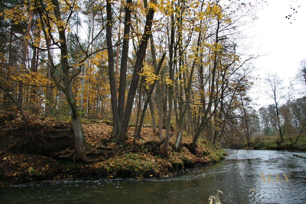 Działka budowlana Bolesławów, ul. Młynarska. Zdjęcie 10