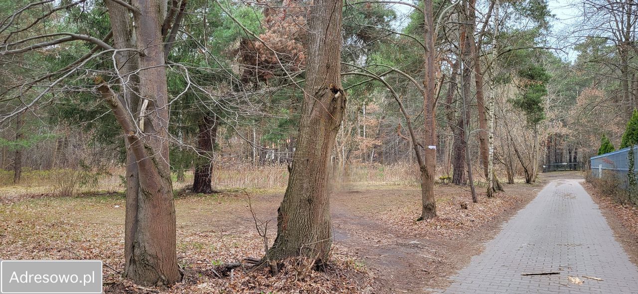 Działka inwestycyjna Warszawa Wawer, al. Dzieci Polskich. Zdjęcie 7