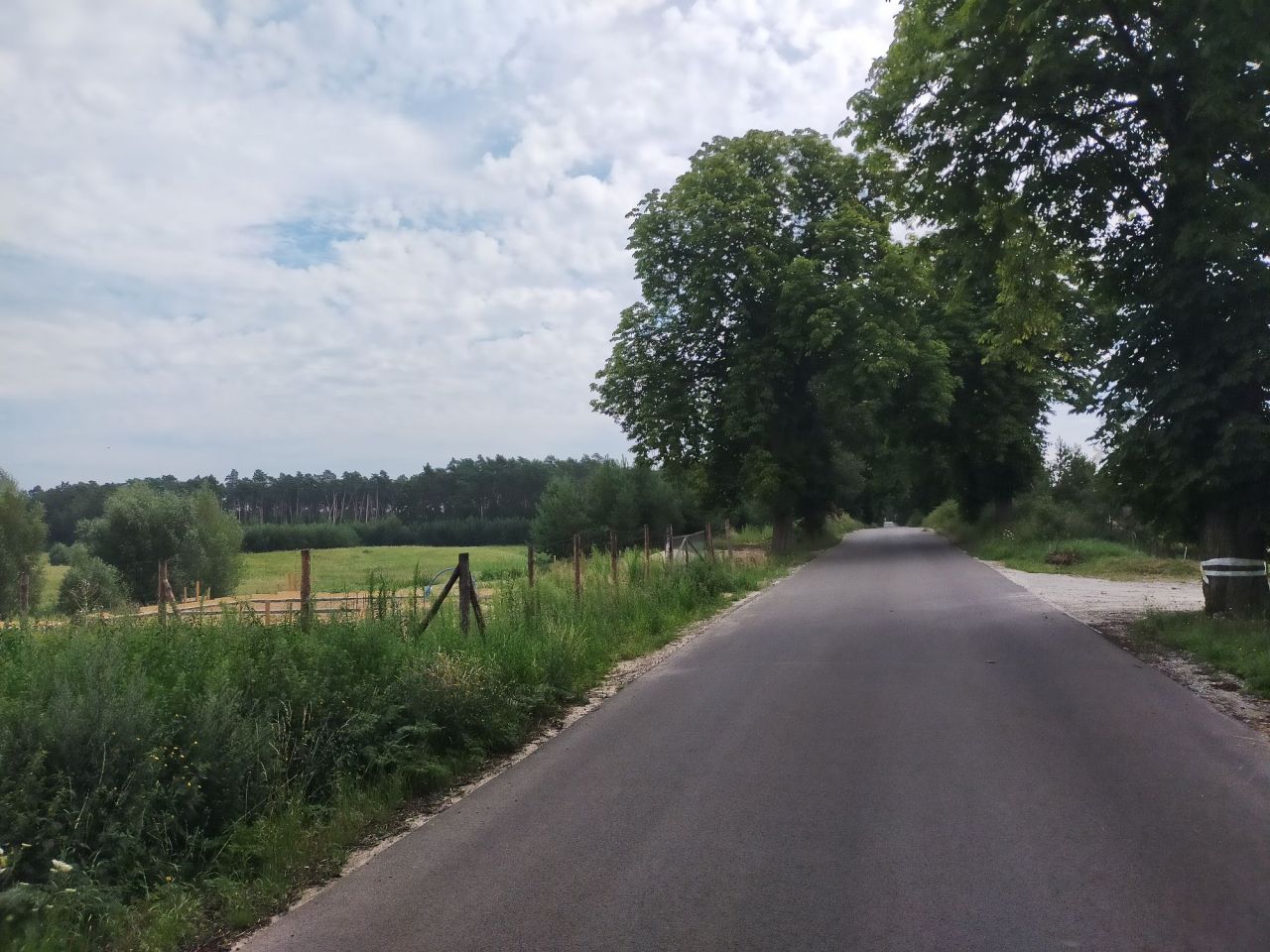 Działka budowlana Stara Dąbrowa. Zdjęcie 6