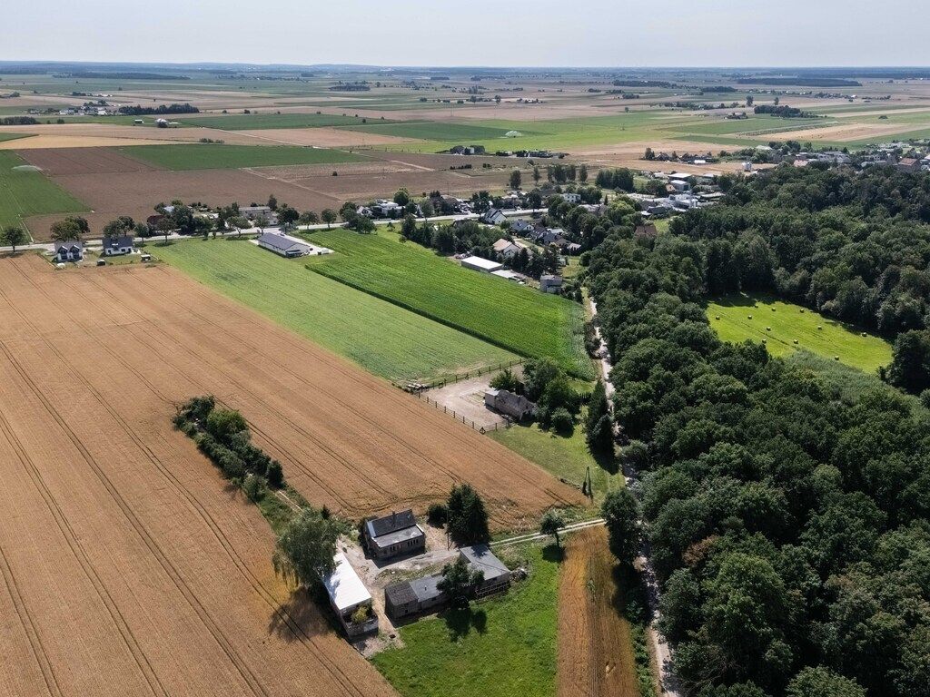 Działka inwestycyjna Szewce, ul. Bukowska. Zdjęcie 5