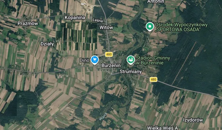 dom wolnostojący Burzenin