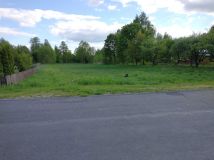 Działka inwestycyjna Nowa Jedlanka. Zdjęcie 1