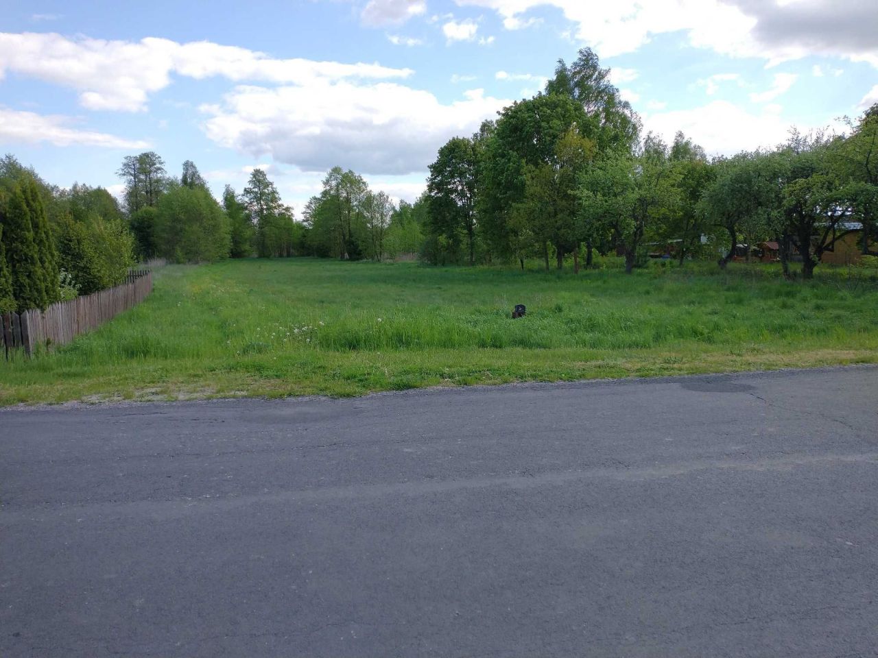 Działka inwestycyjna Nowa Jedlanka. Zdjęcie 2