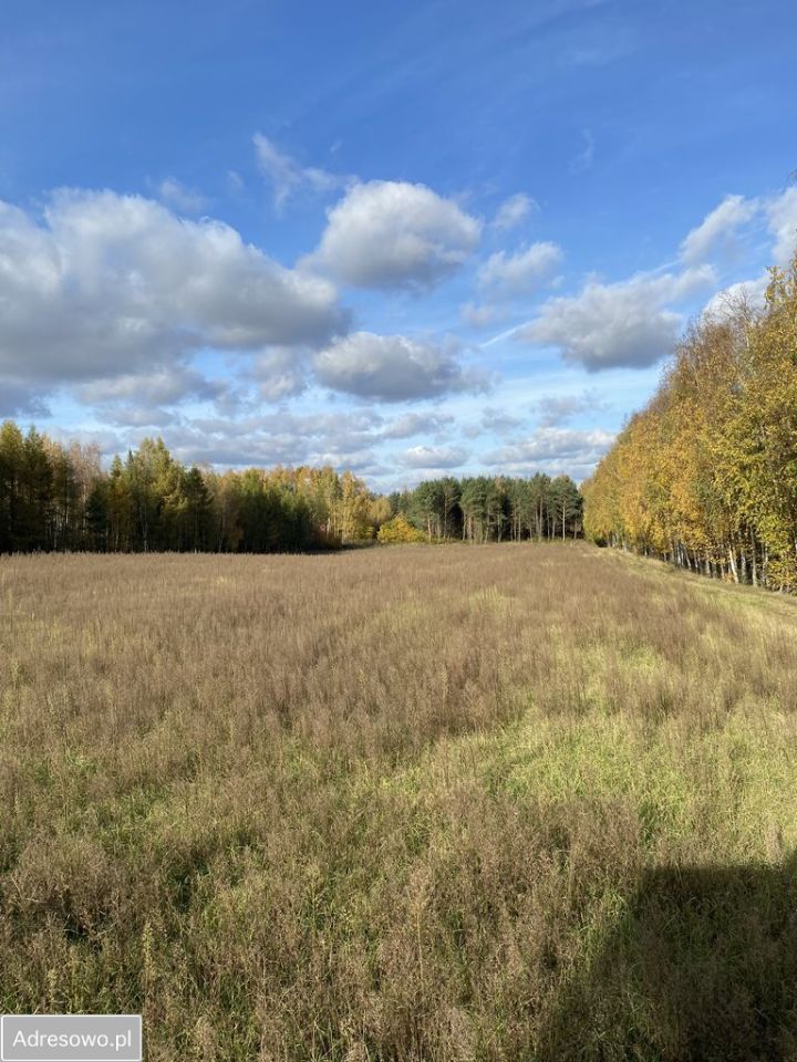 Działka budowlana Osiny. Zdjęcie 2