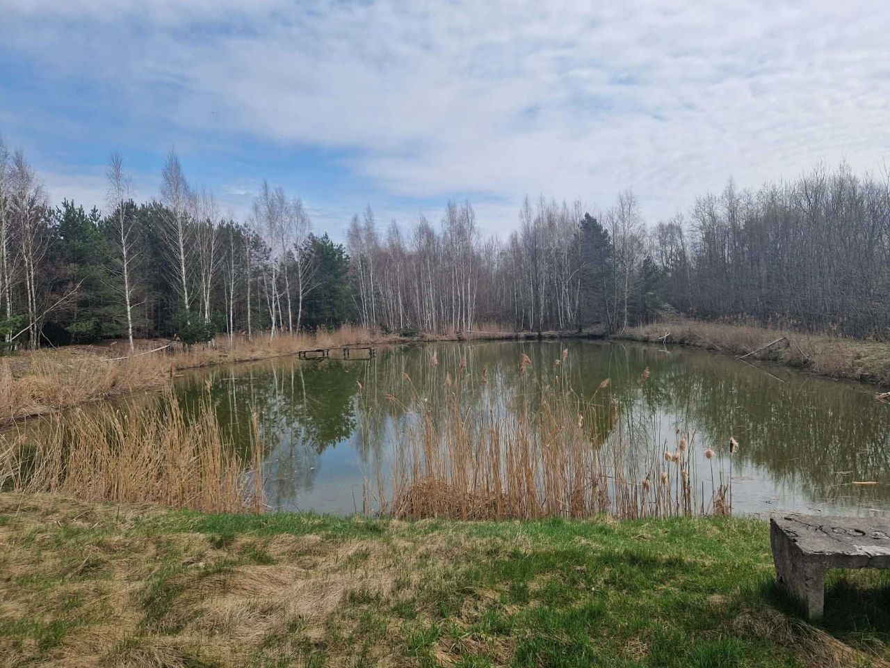 Działka inwestycyjna Biała Podlaska. Zdjęcie 7