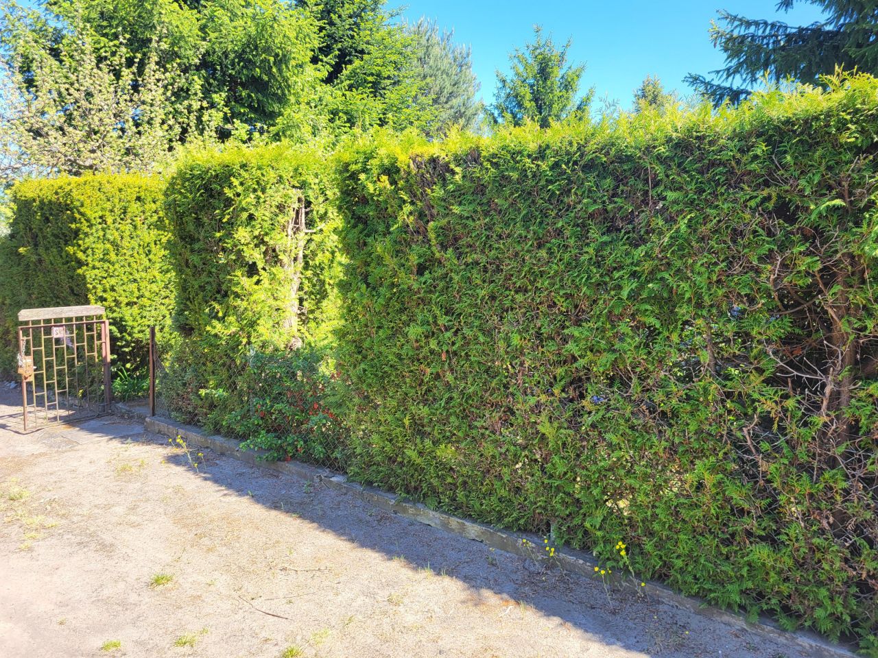 Działka rod Warszawa Kawęczyn, ul. Chełmżyńska. Zdjęcie 9