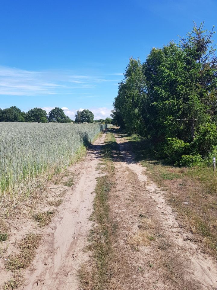 Działka budowlana Sarbsk, ul. Morska. Zdjęcie 16