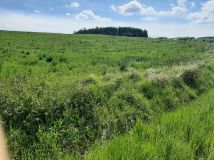 Działka inwestycyjna Nowy Borek. Zdjęcie 1