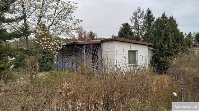 Działka rekreacyjna Warszawa Białołęka Dworska, ul. Cieślewskich. Zdjęcie 1