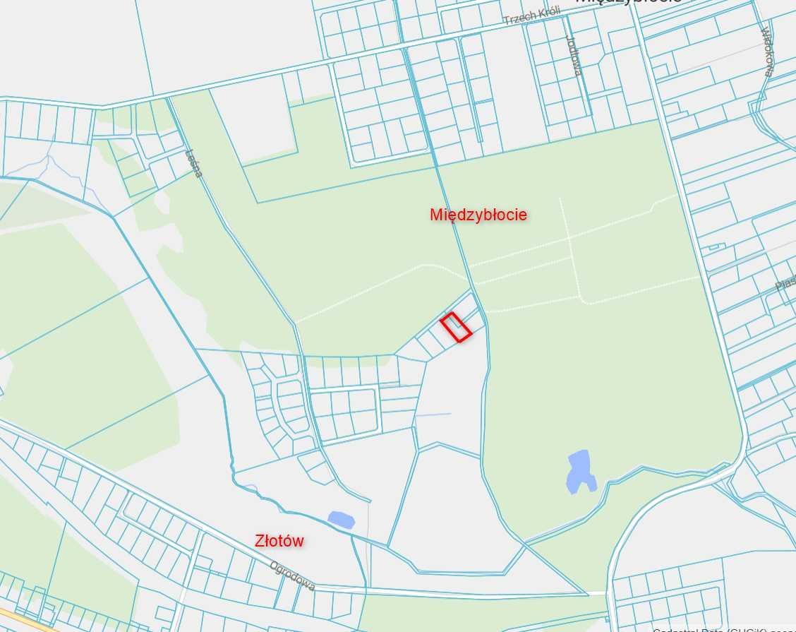 bliźniak Międzybłocie. Zdjęcie 4