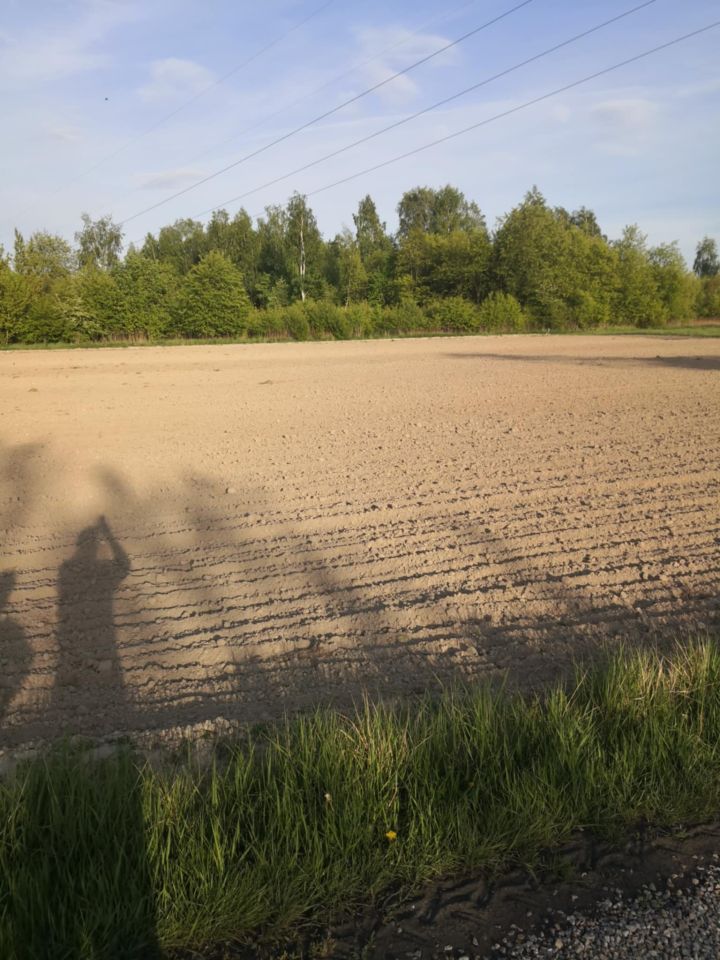 Działka rolno-budowlana Cholewy. Zdjęcie 2
