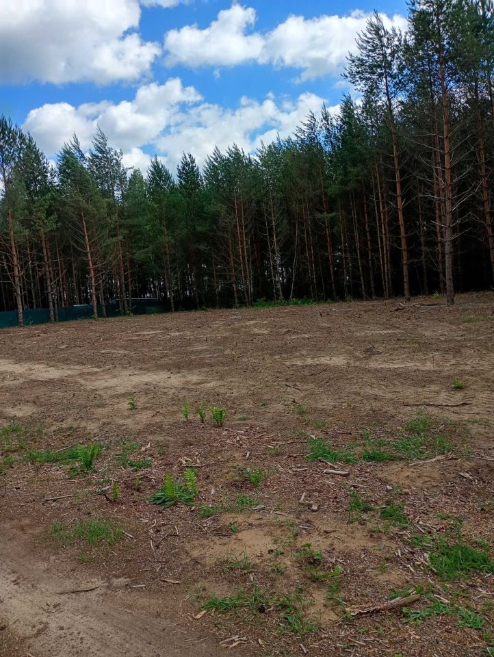 Działka rekreacyjna Tanica Górna. Zdjęcie 5