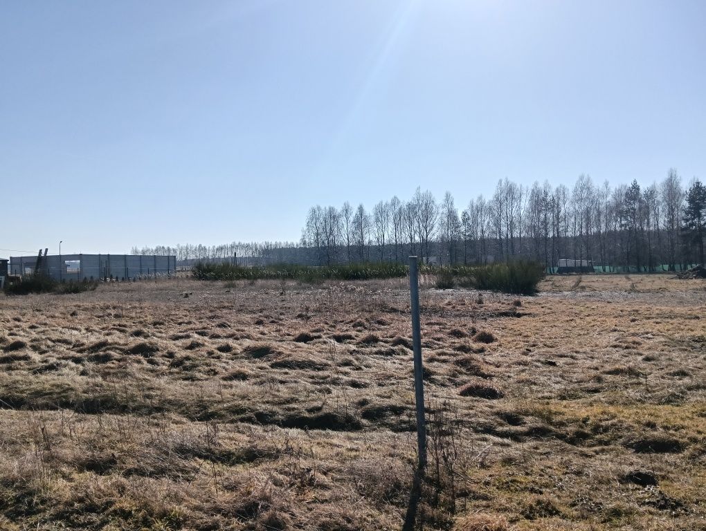 Działka budowlana Wierzbica. Zdjęcie 2