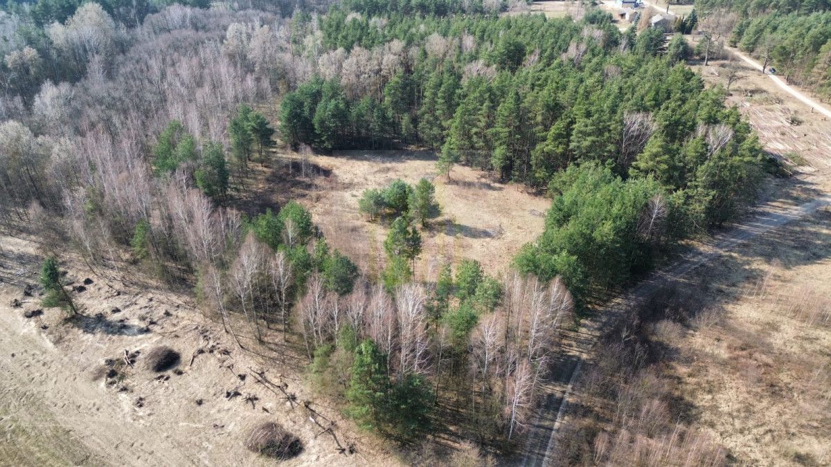 Działka budowlana Piotrkowice. Zdjęcie 8