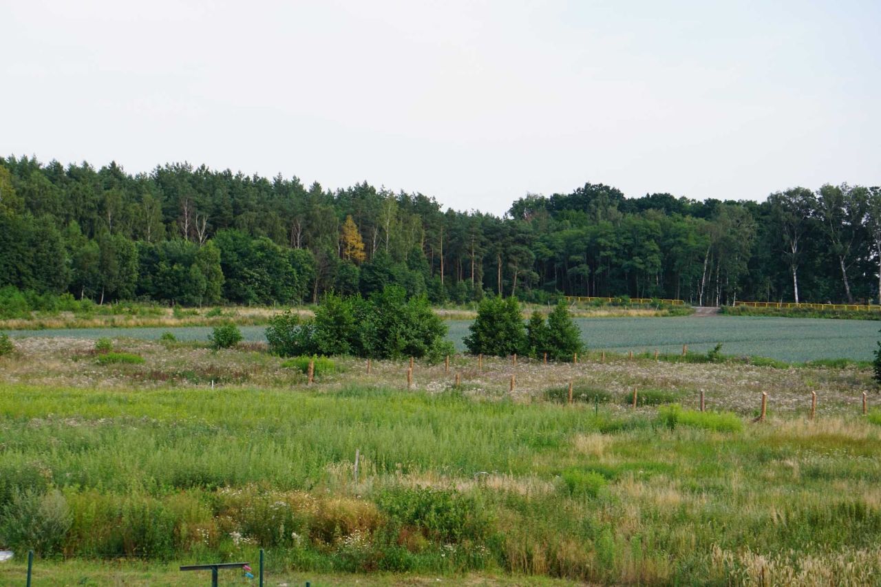 Działka budowlana Kępy Lubczyńskie. Zdjęcie 8