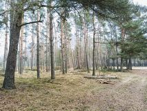 Działka Huta. Zdjęcie 1