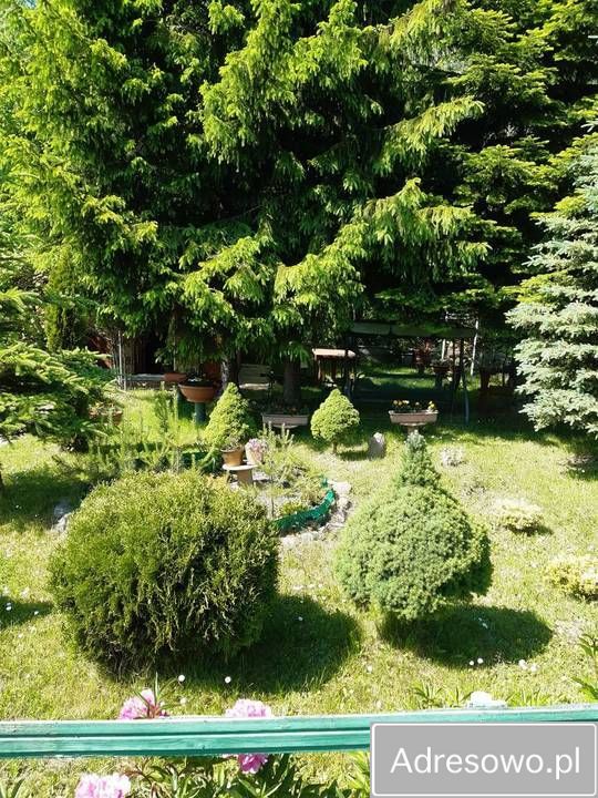 Działka rod Lublin Kalinowszczyzna, ul. Zawilcowa. Zdjęcie 4