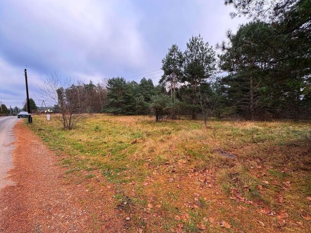 Działka Ruda. Zdjęcie 1