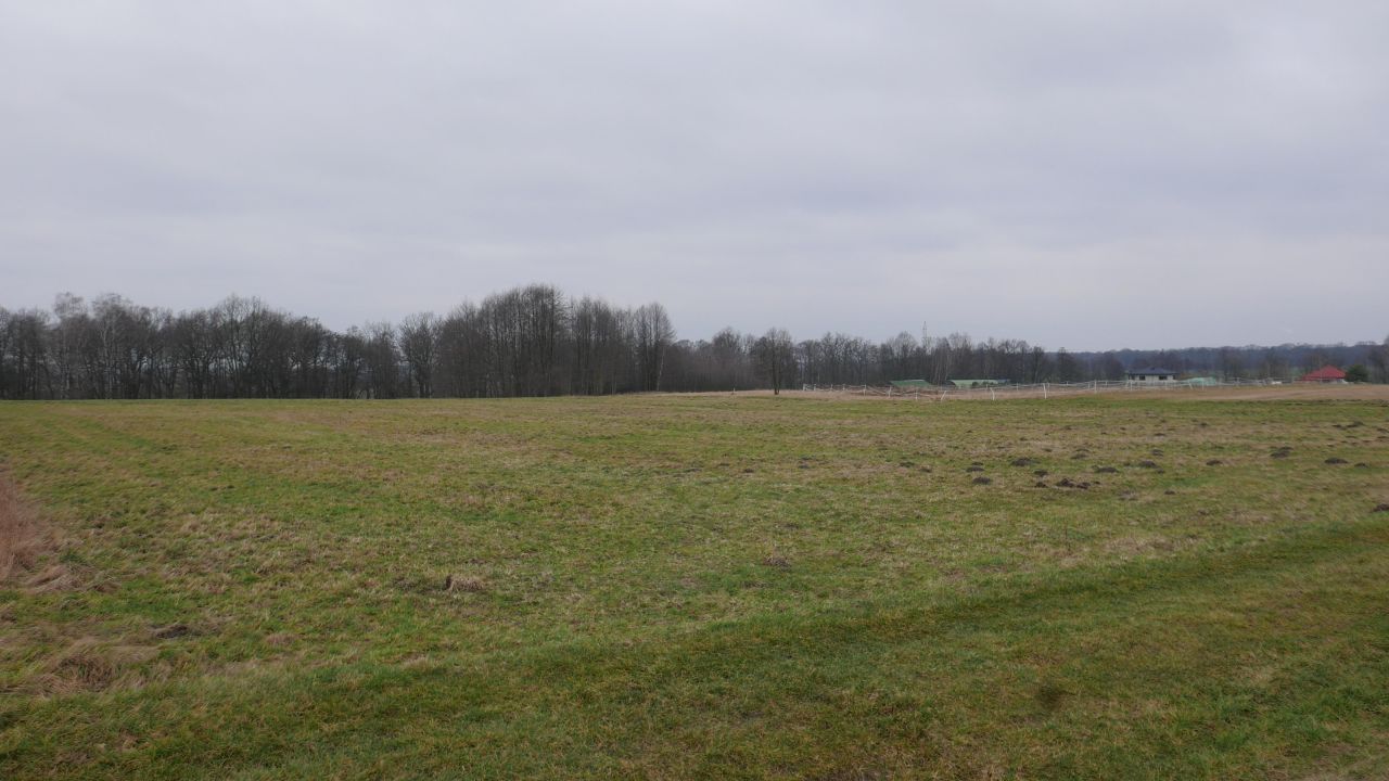 Działka rolna Mikołów Paniowy, ul. Kąty. Zdjęcie 4