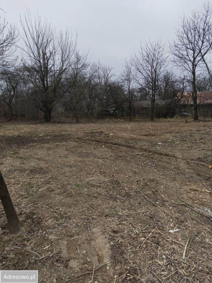 Działka rolno-budowlana Rączyna. Zdjęcie 4