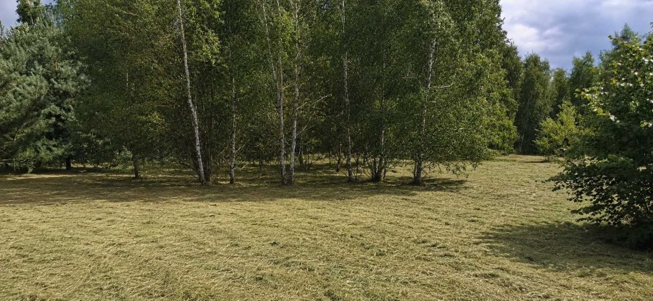 Działka budowlana Wołyńce Wołyńce-Kolonia. Zdjęcie 1