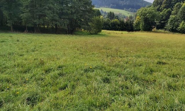 Działka budowlana Ludwikowice Kłodzkie, ul. Kolonia Jana Kasprowicza. Zdjęcie 1