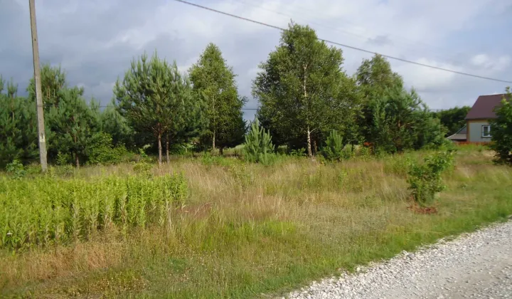 Działka budowlana Dobrynin