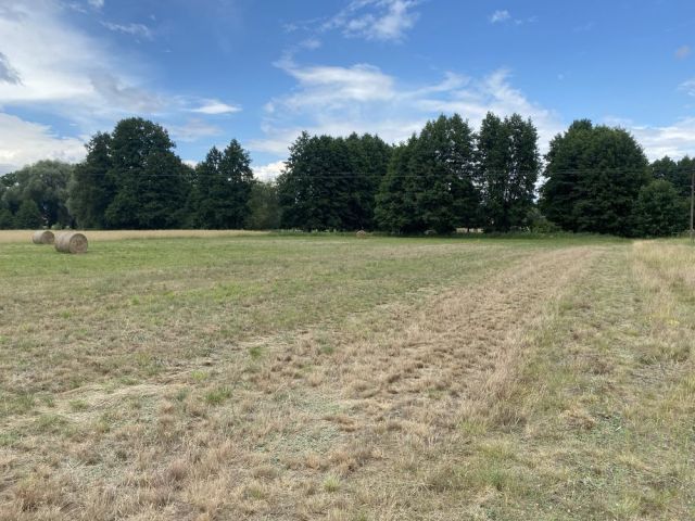 Działka rolna Folsztyn. Zdjęcie 1