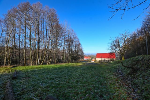 Działka budowlana Wieściszowice. Zdjęcie 16