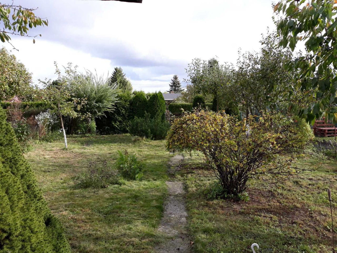 Działka rod Szczecin Krzekowo. Zdjęcie 5