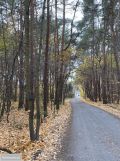 Działka budowlana Józefów, ul. Podleśna. Zdjęcie 1