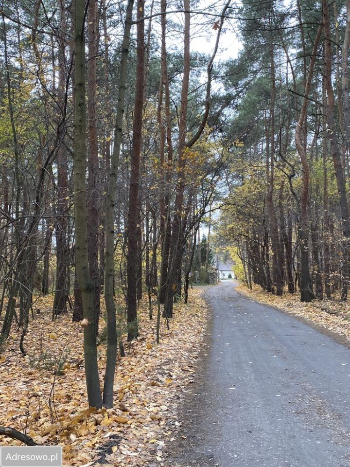 Działka budowlana Józefów, ul. Podleśna. Zdjęcie 2
