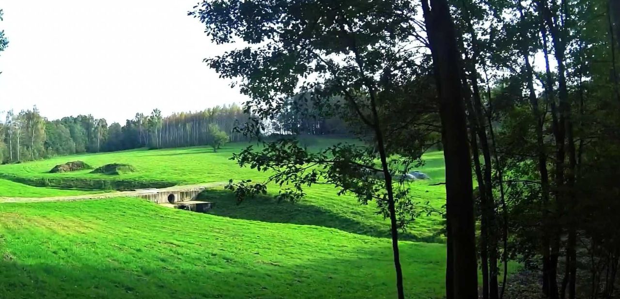 Działka rolno-budowlana Szczepanów. Zdjęcie 2