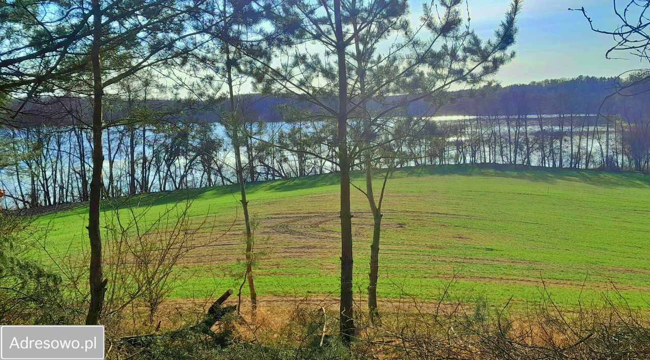Działka siedliskowa Sieraków. Zdjęcie 10