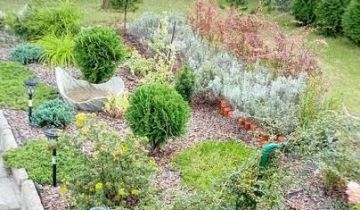 Działka rod Łódź Radogoszcz, ul. Brzegowa