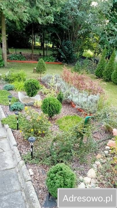 Działka rod Łódź Radogoszcz, ul. Brzegowa. Zdjęcie 2