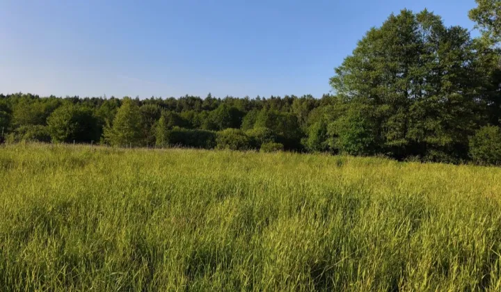 Działka budowlana Kolonia, ul. Poręba