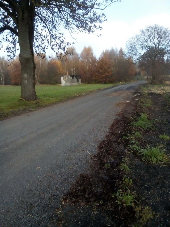 Działka inwestycyjna Blękwit. Zdjęcie 3