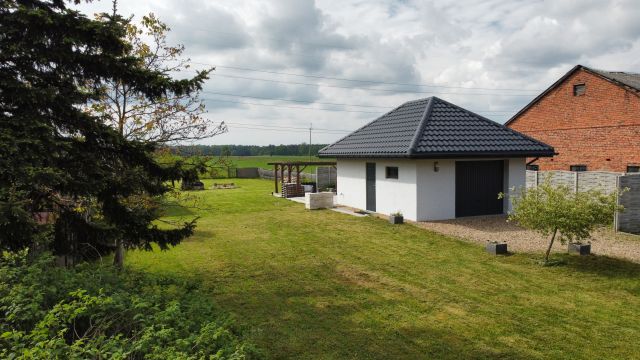 Działka rolna Pałczew, Pałczew. Zdjęcie 1