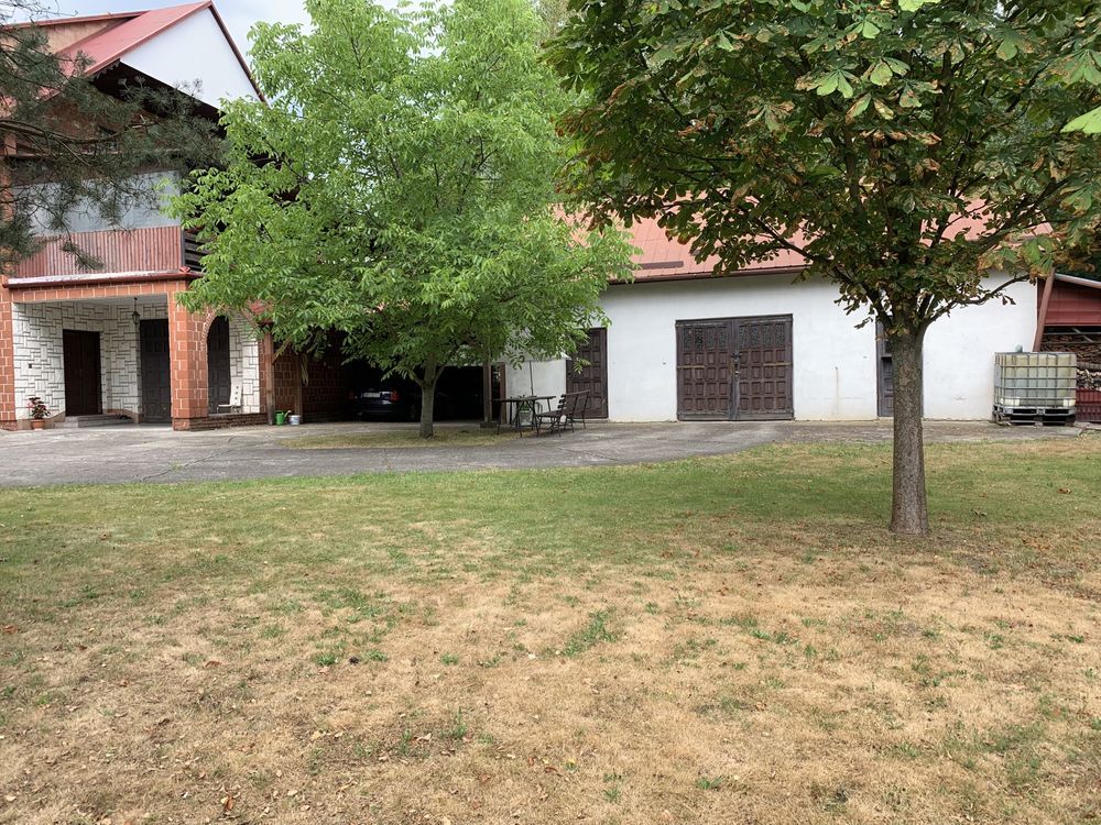 Lokal Padew Narodowa. Zdjęcie 3