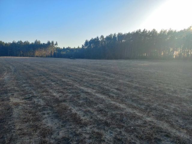 Działka rolno-budowlana Bogdałów-Kolonia. Zdjęcie 1