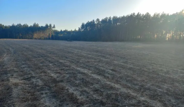 Działka rolno-budowlana Bogdałów-Kolonia