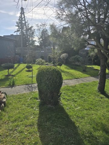Lokal Stare Bielice, ul. Bałtycka. Zdjęcie 28