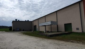 Hala/magazyn Ryglice