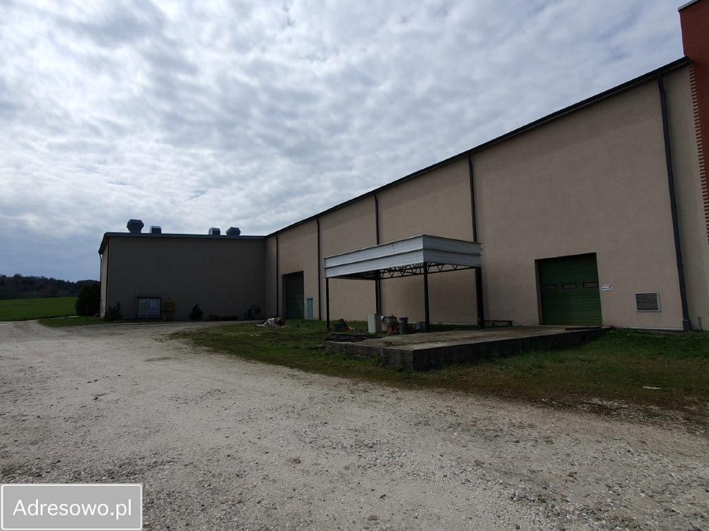 Hala/magazyn Ryglice. Zdjęcie 2
