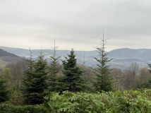 Działka rod Andrychów Pańska Góra. Zdjęcie 2